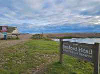 Seven Sisters Cliffs - Eastbourne 