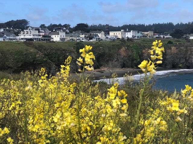 A Coastal Escape: Mendocino's Hidden Gems