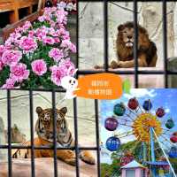 🐯福岡市動植物園🦁福岡最具代表性的動物園✨️