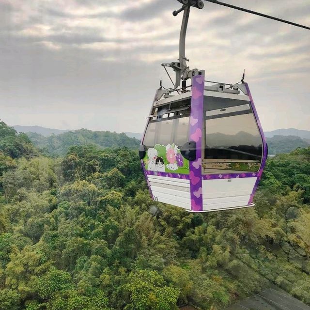 🚡《貓空纜車》坐水晶車廂欣賞超美風景🚠
