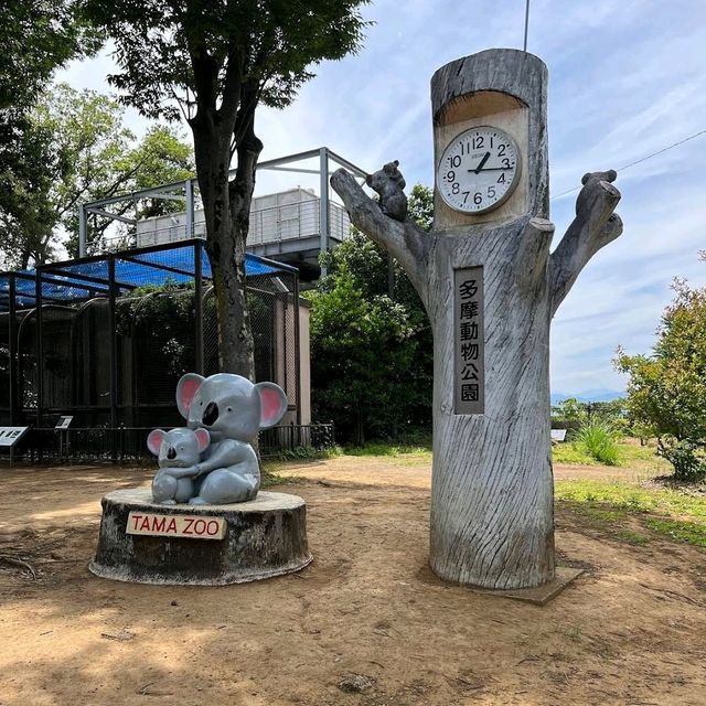 🐨多摩動物公園🦝超級大的動物園，與動物近距離互動