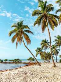 Smathers Beach