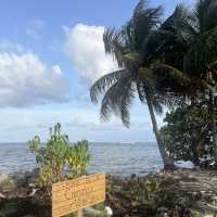 How to spend 17 days in Pointe A Pitre