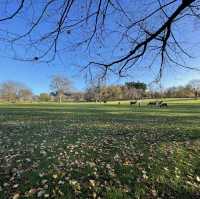 Autumn in Nottingham