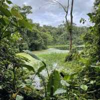 A volcano in the rainforest 
