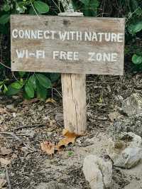 자연과 연결될 수 있는 Wi-Fi 없는 존이 있는 
