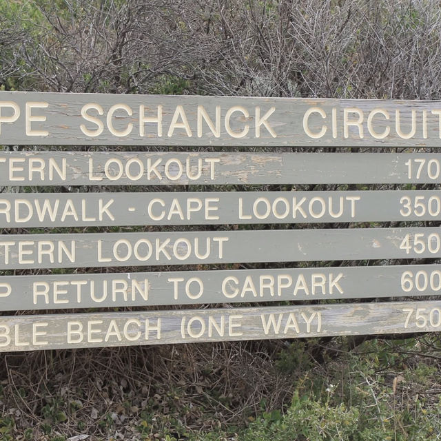 Cape Schanck 🚞