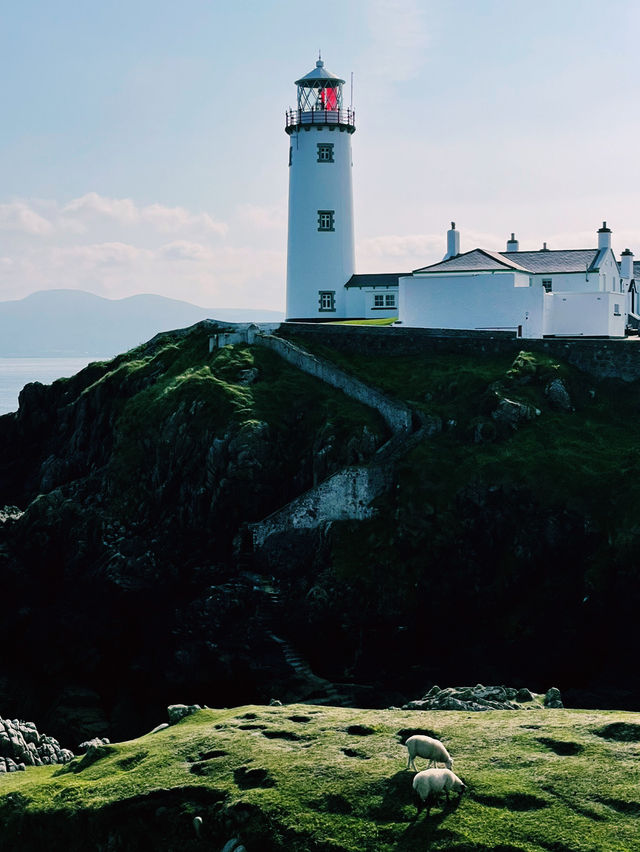Epic Ireland Road Trip: Nature’s Wonders & A Stop in Derry 🌿🚗