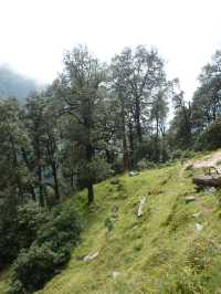 Triund Hike, Dharamshala