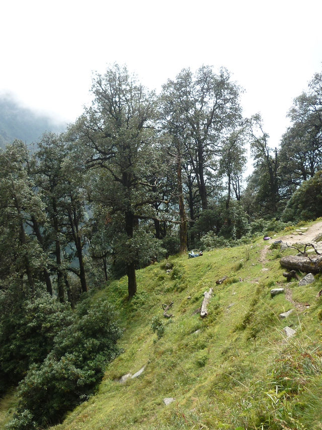 Triund Hike, Dharamshala
