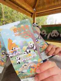 🐼 Chengdu Transit: The Ultimate Panda Tour 🐼
