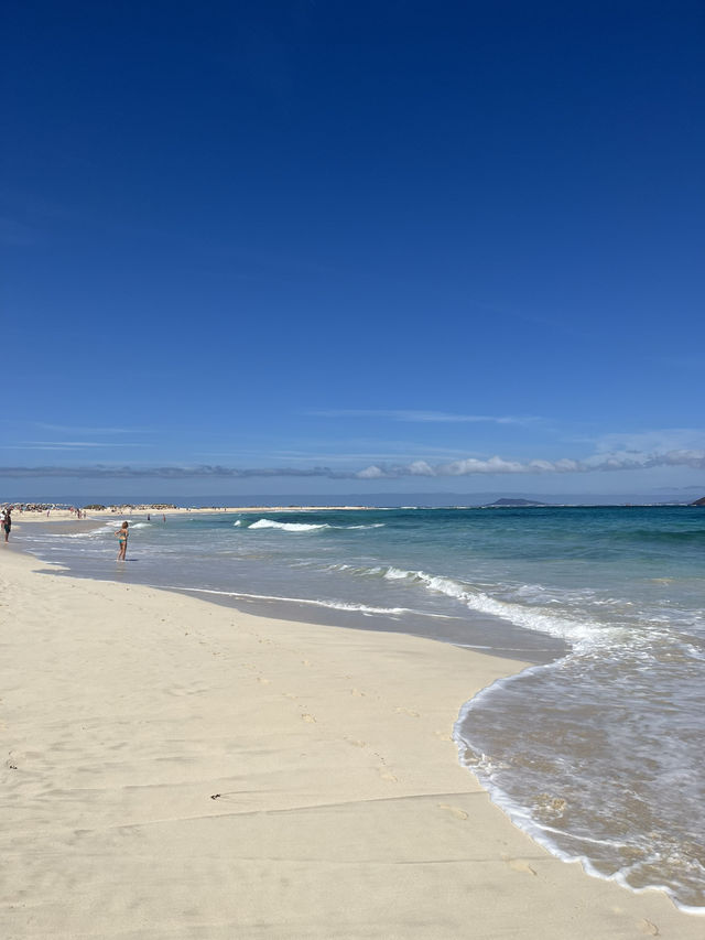 Paradise in Corralejo Fuerteventura 🇪🇸