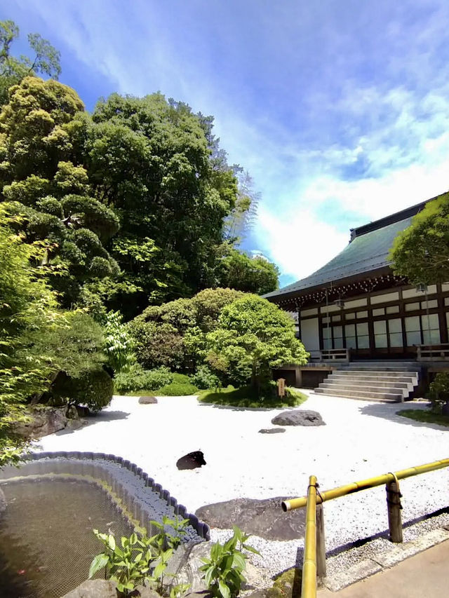 Spring Serenity at Hokoku-ji