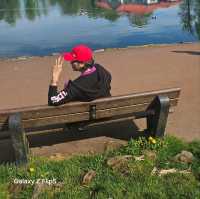 travel with Trip