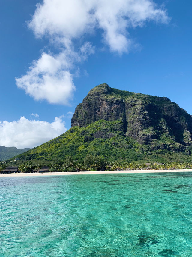 A Perfect Day in Paradise: Dolphins, Snorkelling & Crystal Rock in Mauritius