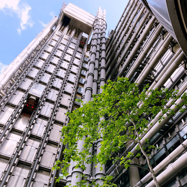 🏙️ Historic Pulse: City of London Walk to Leadenhall Market