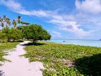 Sipadan Dreams & Sea Breezes: A Tropical Escape to Semporna