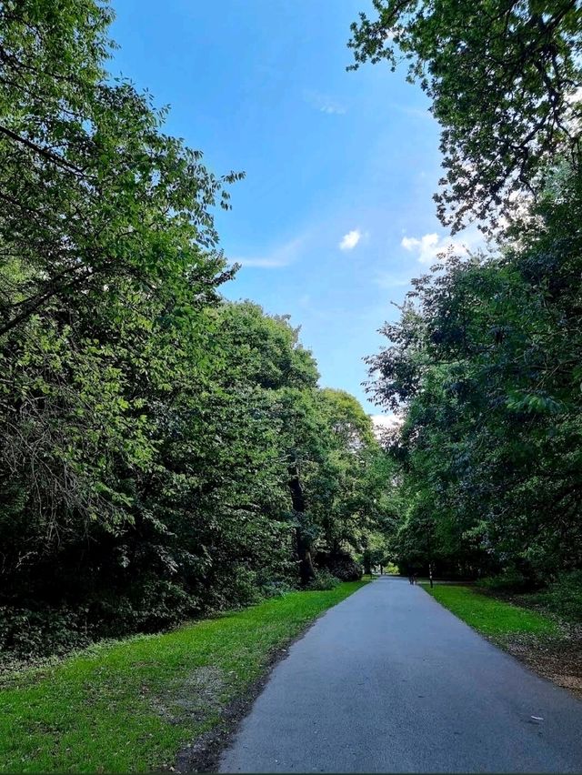 Southampton Common 🌳☀️