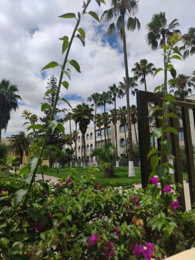 Hello Casablanca: Chaos, Calm, and Color