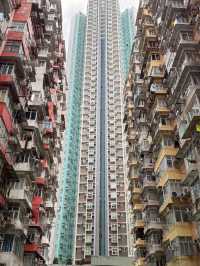 A Concrete Jungle Like No Other