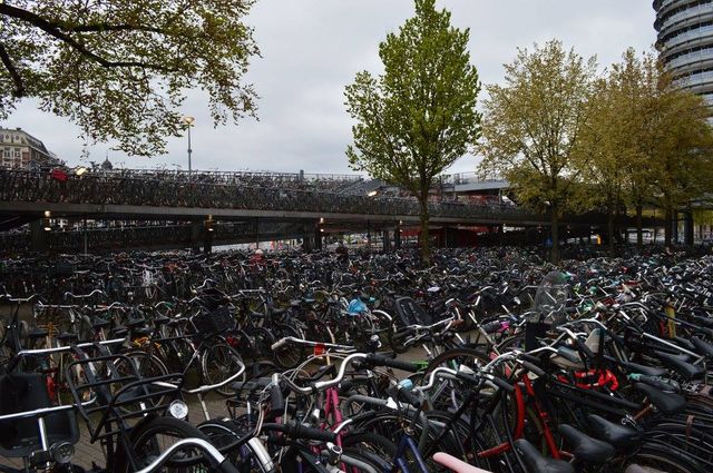 Explore Amsterdam & around without emptying your wallet 🌷🚲