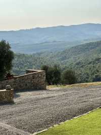 My wine tasting experience in Tuscany’s vineyard Castello Di Cacciano