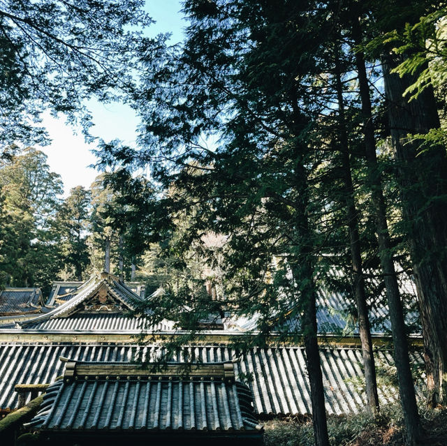Nikko Day Trip: Temples, Nature & Timeless Japan