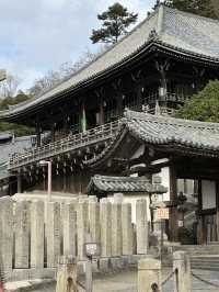 Deer, Temples & Tranquility: The Ultimate Nara Park Stroll 
