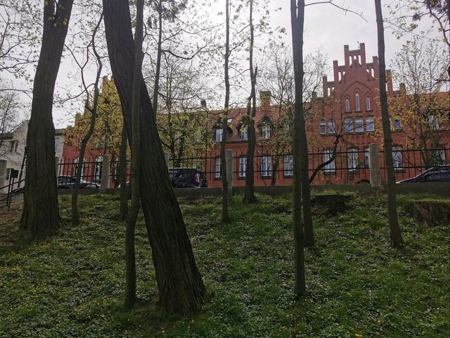 Zielona Góra, Poland: Poland's Northernmost Wine Capital with Over 700 Years of Viticulture Zielona Góra, Poland: Poland's Northernmost Wine Capital with Over 700 Years of Viticulture