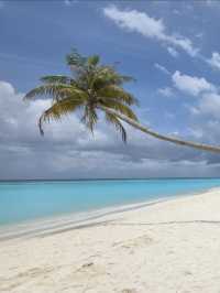 Maldives 🇲🇻 — Where Beauty Meets Opportunity