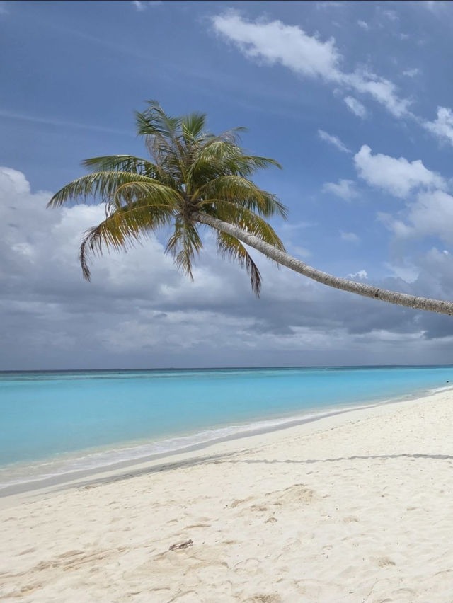 Maldives 🇲🇻 — Where Beauty Meets Opportunity Maldives 🇲🇻 — Where Beauty Meets Opportunity