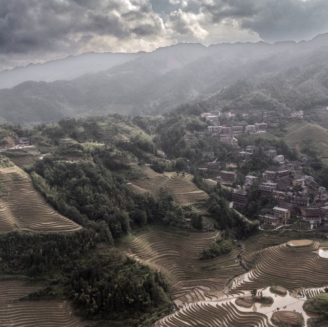 The Stunning Rice Fields!