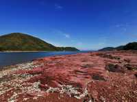 Hong Kong's Red Stone Gate, a hidden gem in the world-class geological park.