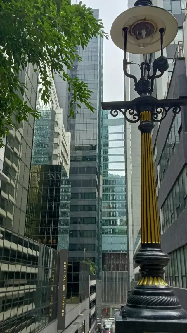 Travel to Hong Kong.