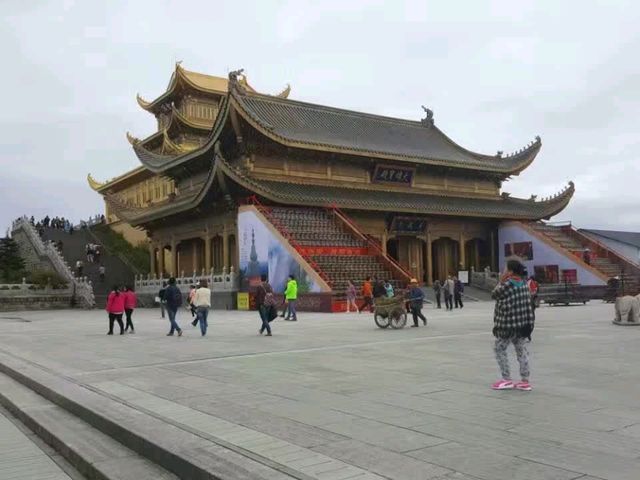 Emei Mountain's Treasure! 🇨🇳 Emei Mountain's Treasure! 🇨🇳