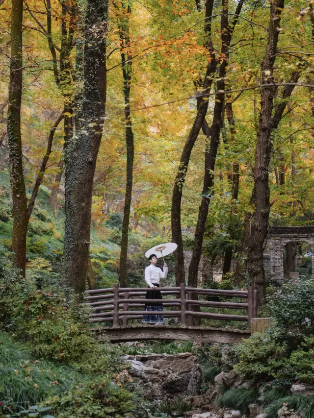 I prefer the lesser-known autumn viewing spot in Southern Anhui to Hongcun