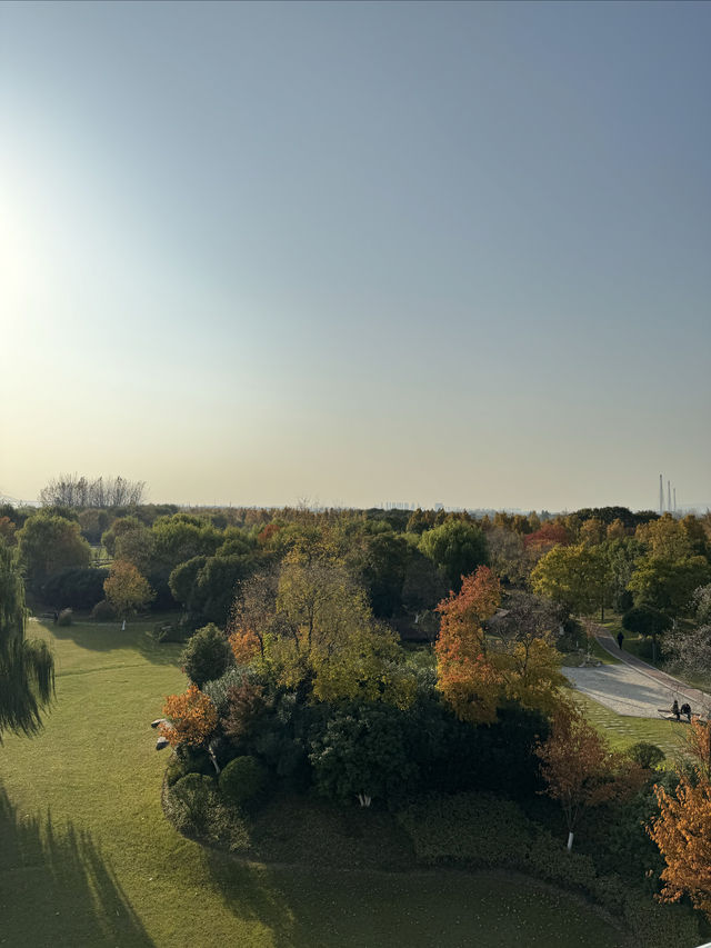 打卡南京青奥公園！散步吸氧好去處！