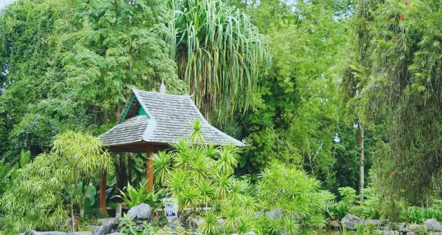 雲南|中科院植物園