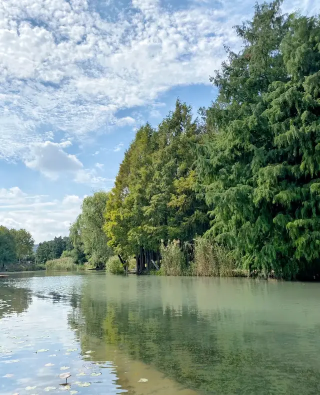 The stunning wetland park is a naturalistic paradise