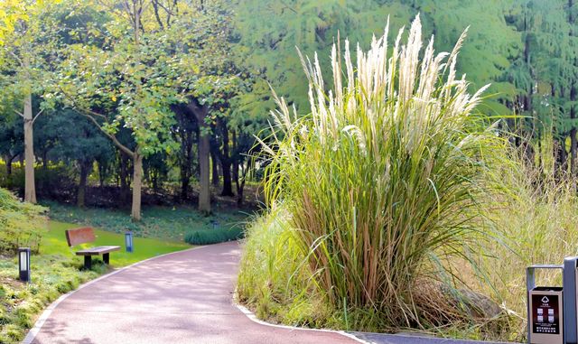 絕美濕地公園自然主義的天堂