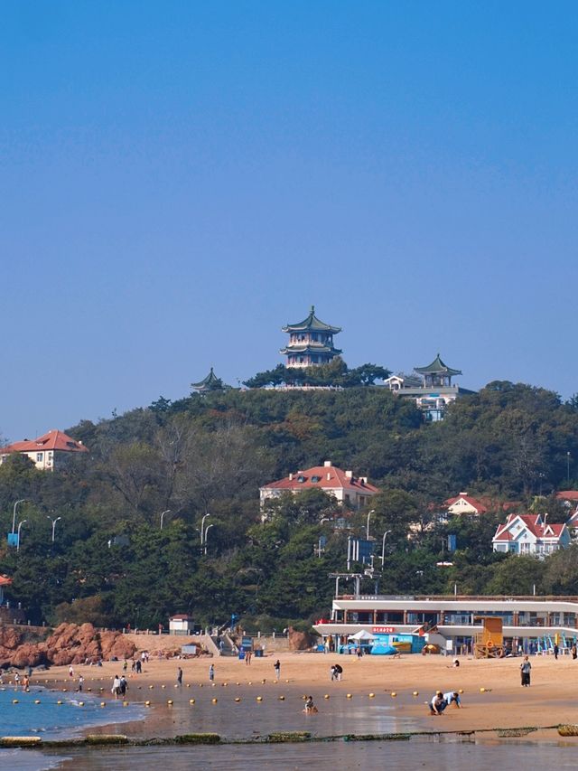 在青島第一海水浴場，我發現一棵孤獨的樹