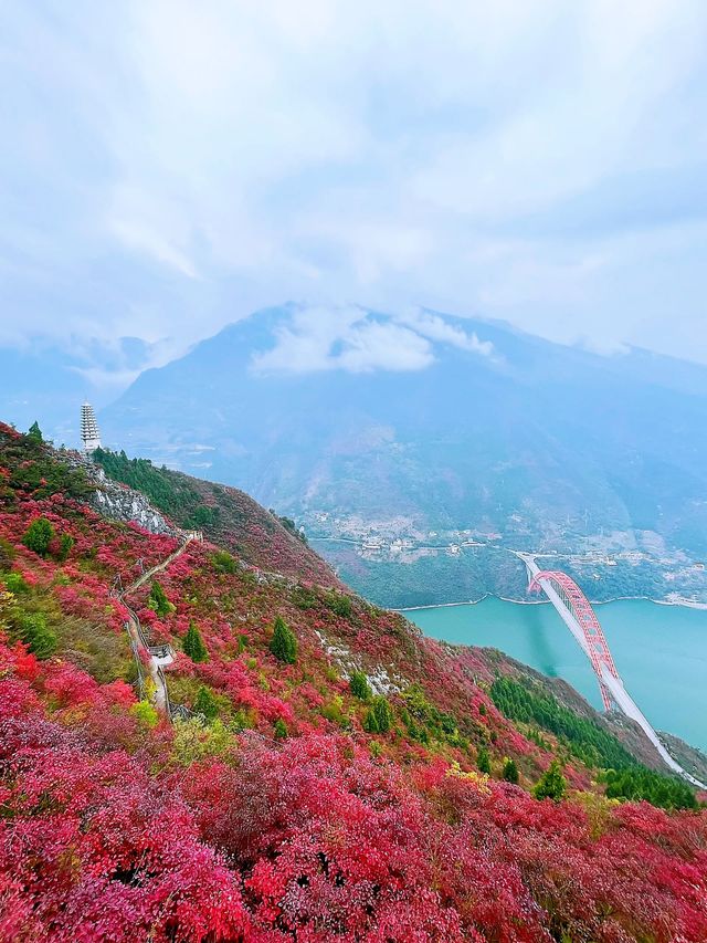 神女天路，紅葉之約