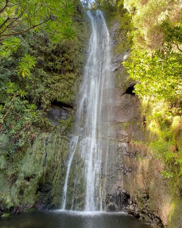 Secret Waterfall Odyssey: Discovering Cascata da Ribeira do Seixal, Madeira 🇵🇹💦