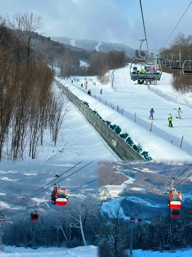 哈爾濱 亞布力｜來東北，怎麼可以不滑雪呢