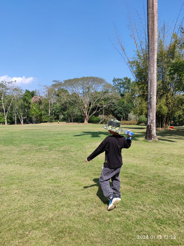 西雙版納中科院植物園，告莊出發攻略