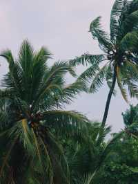 Thulusdhoo Island, Maldives 🇲🇻🏝️