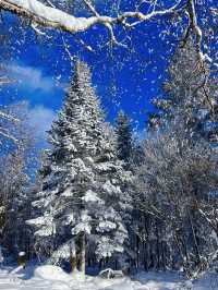 長白山 | 雪嶺南方小土豆來看冰雪世界！