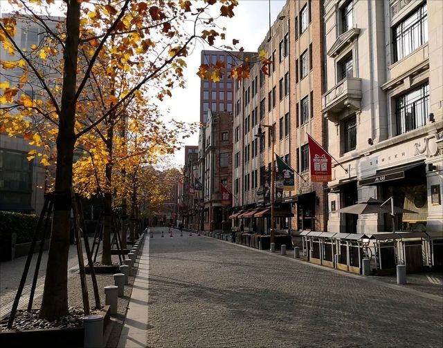 記圓明園路漫步