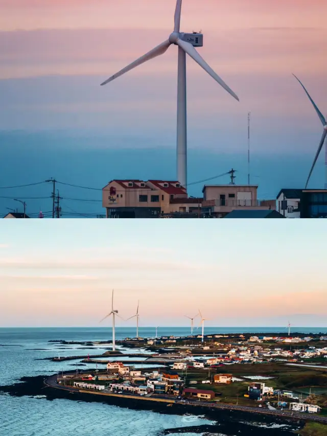 Jeju Island|It's really dreamy here