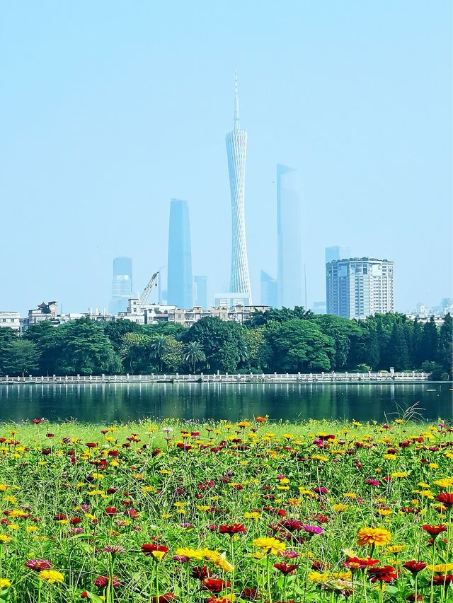 廣州海珠湖：休閒健步/觀景打卡的好去處！